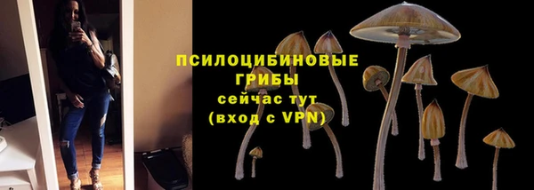 PSILOCYBIN Арсеньев