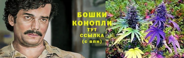 ПСИЛОЦИБИНОВЫЕ ГРИБЫ Заволжье