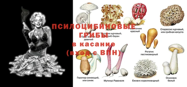 PSILOCYBIN Арсеньев