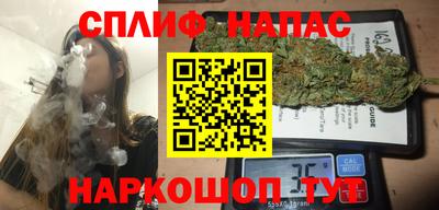 МДПВ Славгород