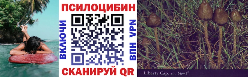Галлюциногенные грибы Magic Shrooms  кракен сайт  Полысаево  даркнет сайт 