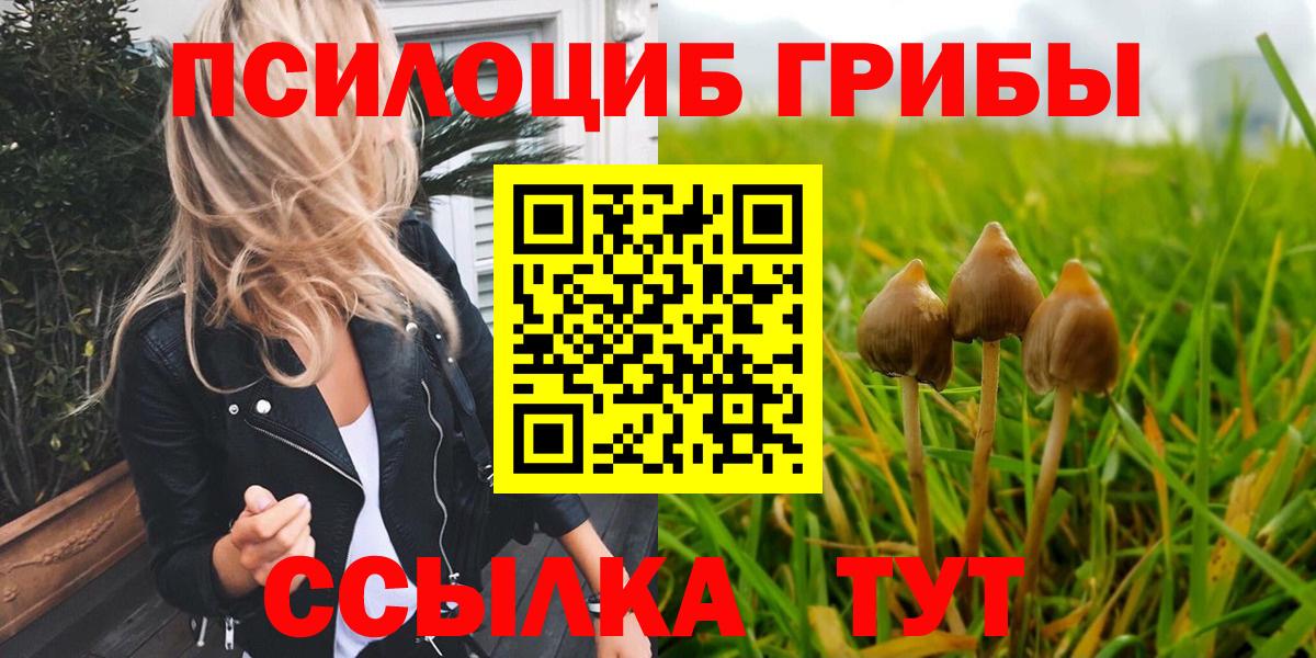 Галлюциногенные грибы ЛСД Полысаево