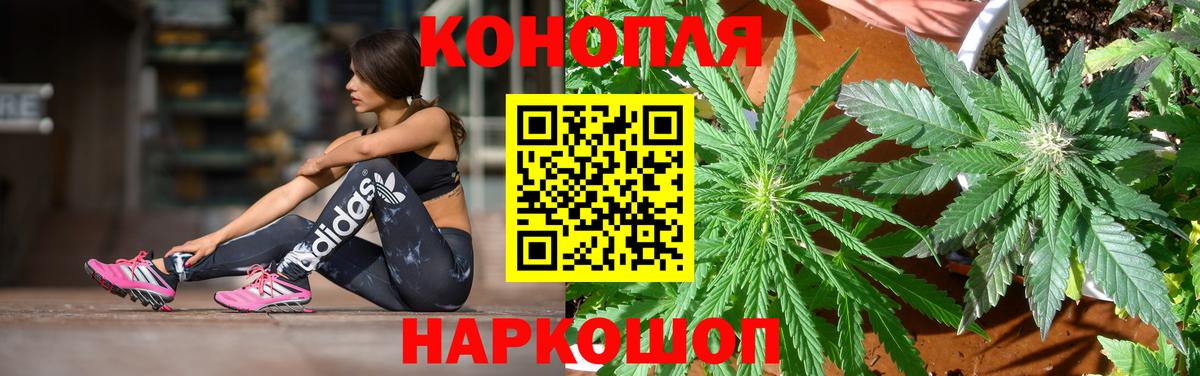 Конопля конопля  Марихуана Ganja  Каннабис Amnesia  Полысаево  Вход с VPN  Канабис VHQ 